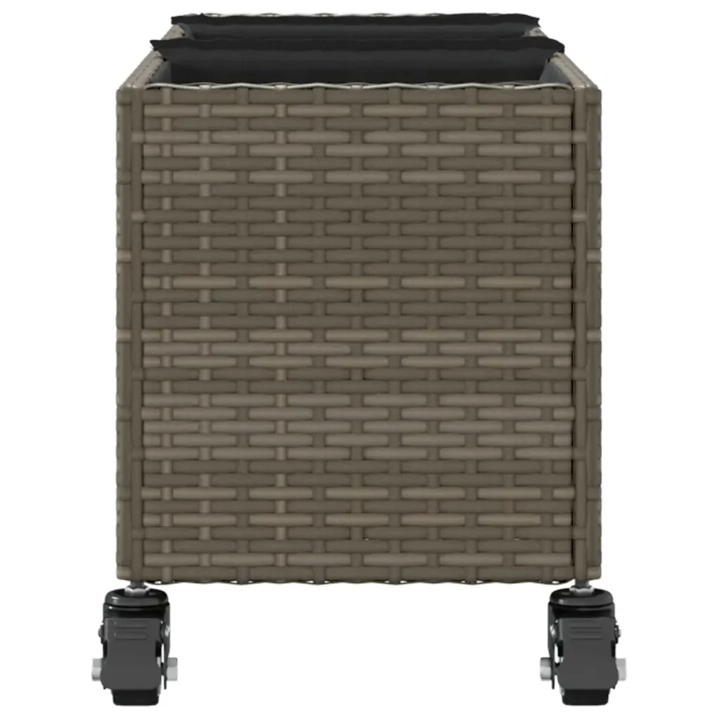 Miniatura 6