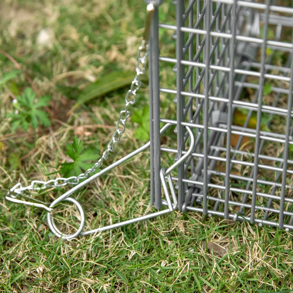 Miniatura 9